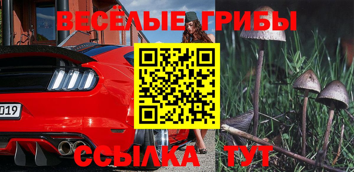 Камышин  Галлюциногенные грибы Magic Shrooms  Вход с VPN  Галлюциногенные грибы Psilocybine cubensis 